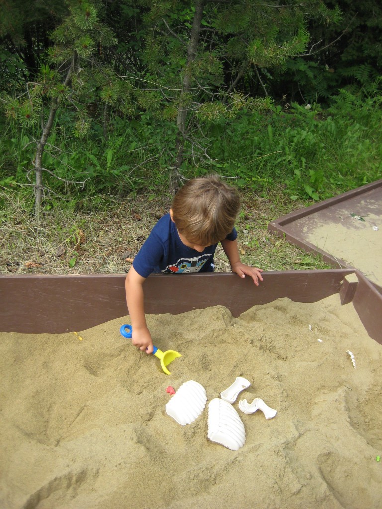Prehistoric Park: Calgary Zoo