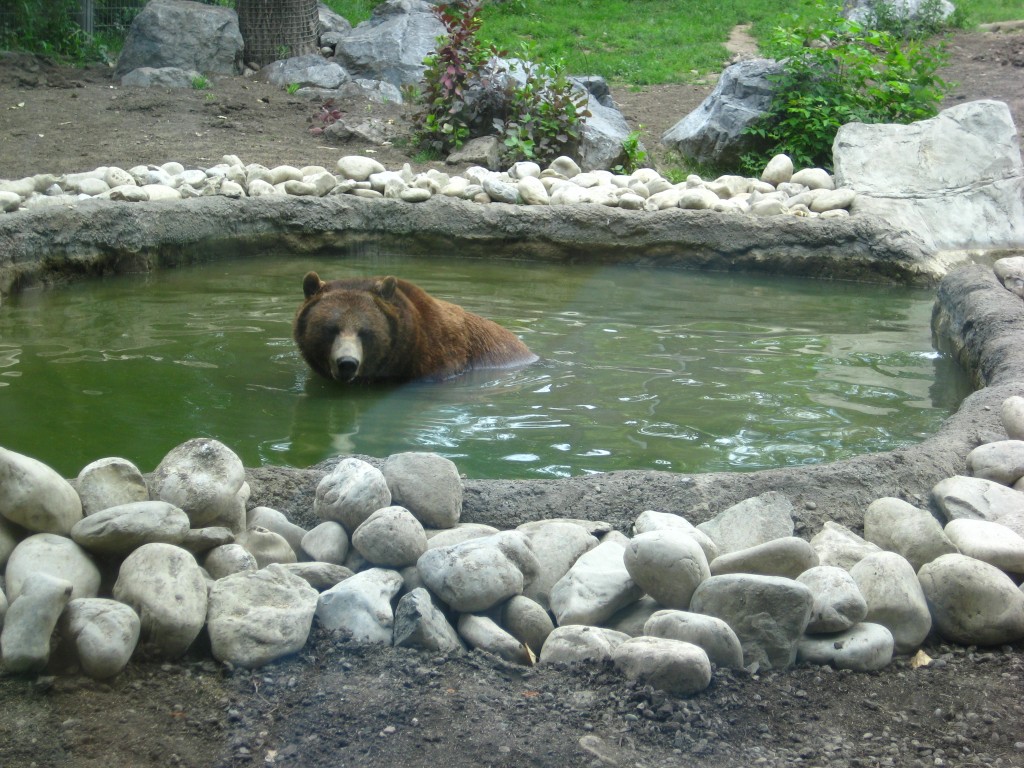 The Canadian Wilds: Calgary Zoo
