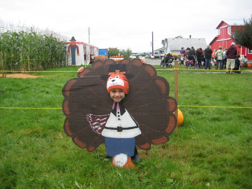 Pumpkin Patch