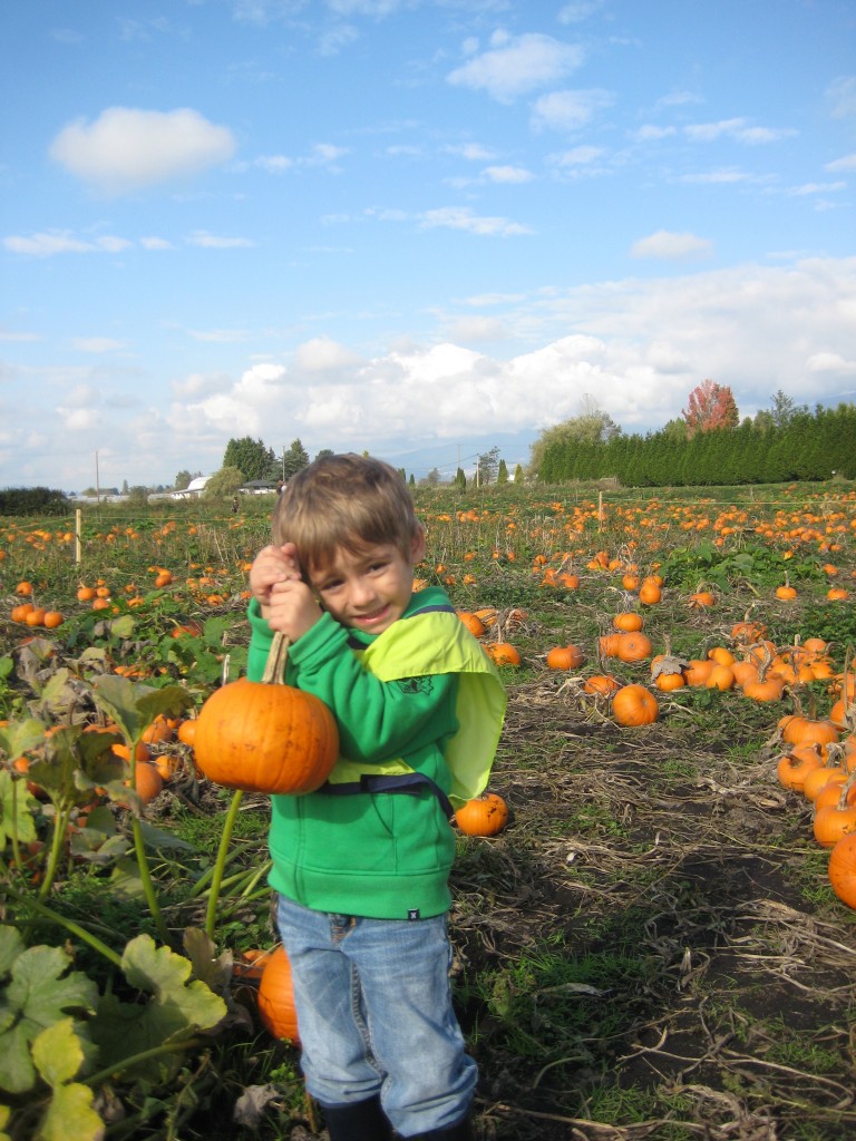 Pumpkin Patch