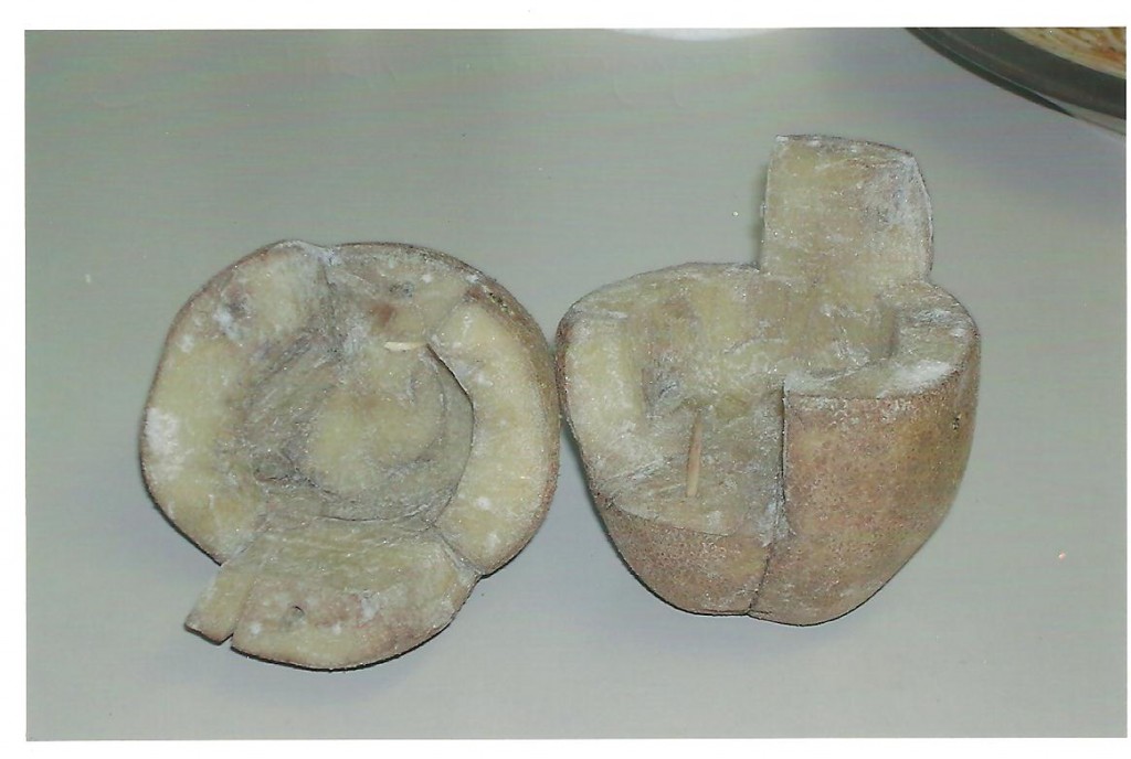 Potato